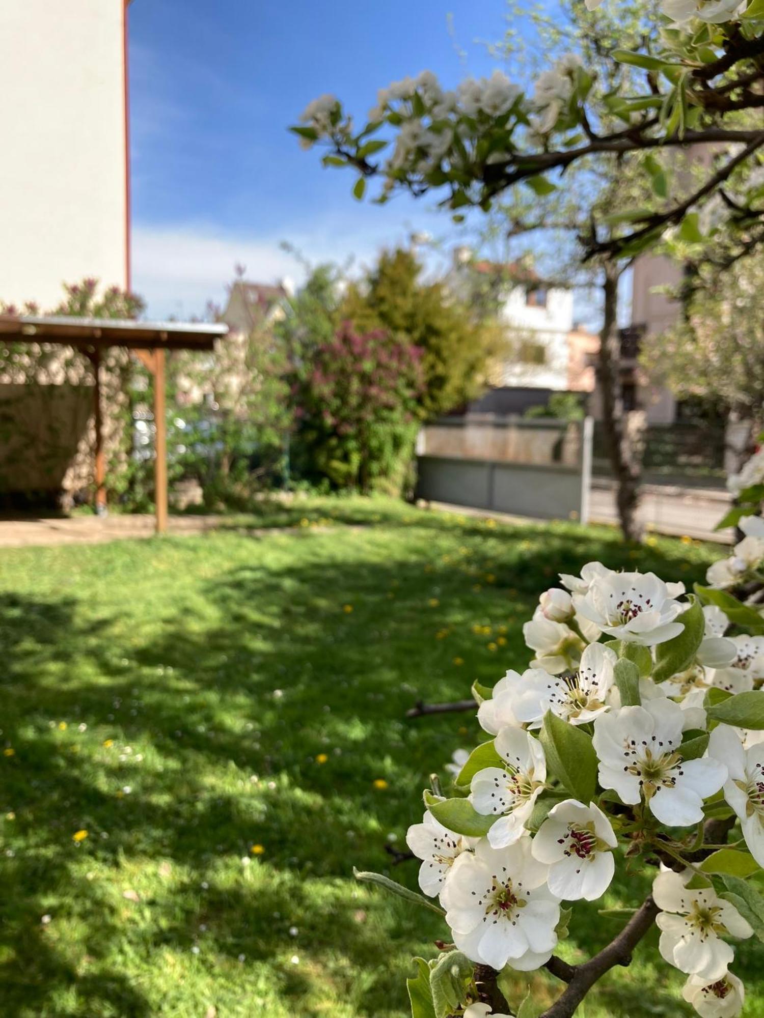 Spacious Apartment - Free Parking! Praga Esterno foto